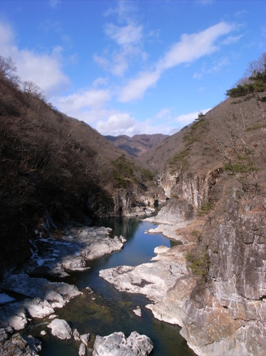 20100124_4