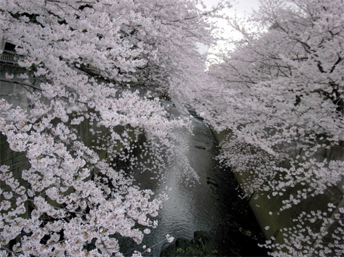 20100403_2