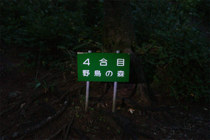 20100830_3