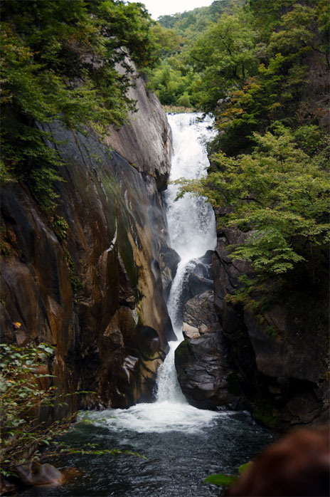 20101024_3