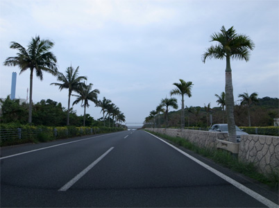 20110219_3