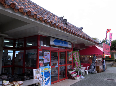 20110219_4