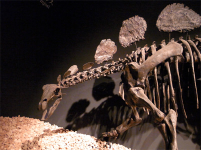 20110806_3