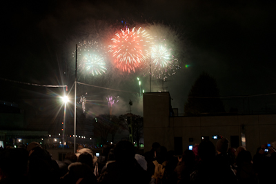SONY DSC