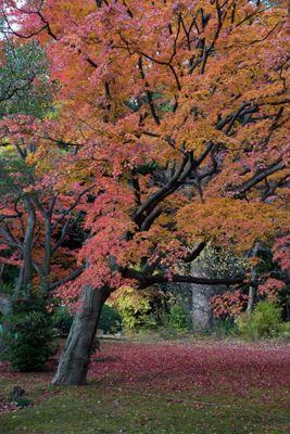 六義園