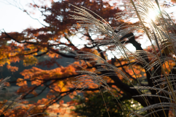 六義園