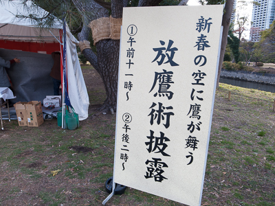 浜離宮恩賜庭園で「放鷹術の実演」を見てきました。