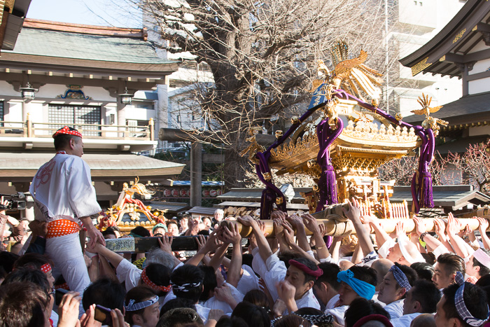 湯島天神「梅まつり」(神輿渡御)