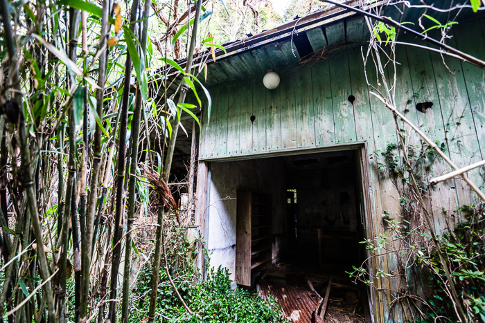 竹藪に潜む廃病院