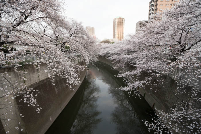神田川