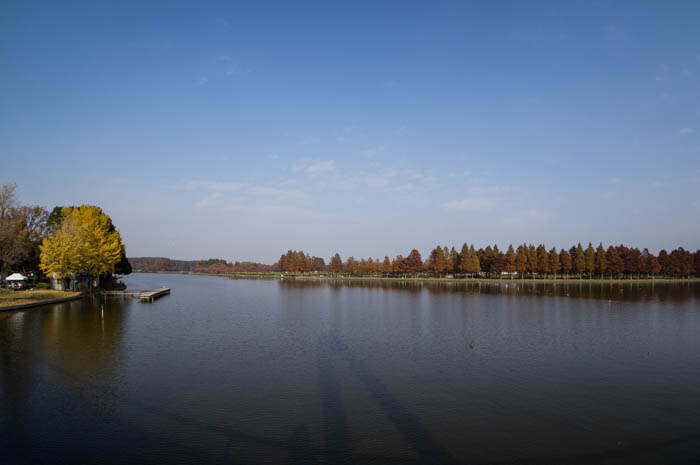 水元公園で紅葉をチラ見してきたっ！