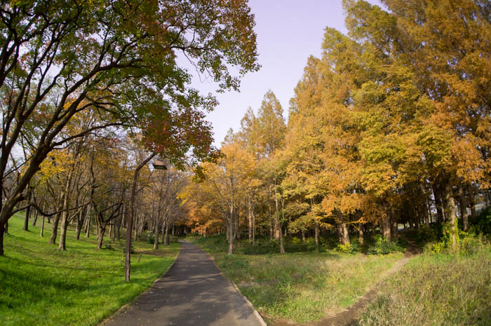 水元公園