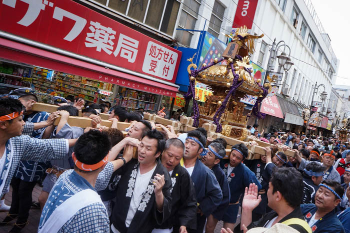 馬鹿祭り
