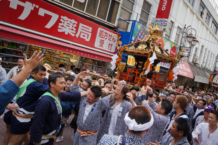 馬鹿祭り