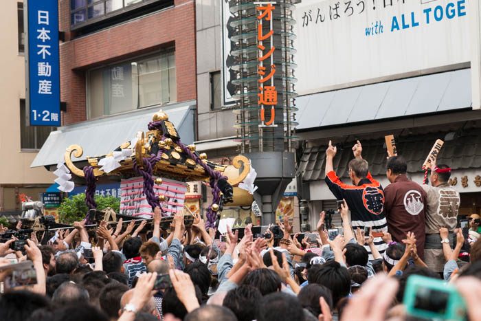 三社祭で神輿を見てきましたっ！