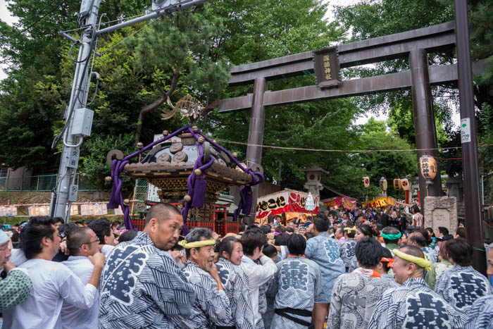 新宿諏訪神社「御神幸大祭」