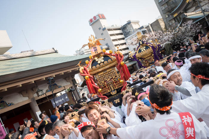 湯島天神「第59回梅まつり(平成28年)」で神輿を見てきましたっ！