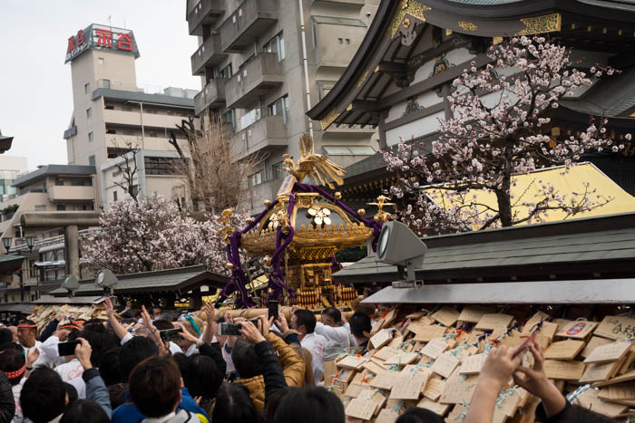 湯島天神「第60回梅まつり(平成29年)」で神輿の宮入を見てきたっ！