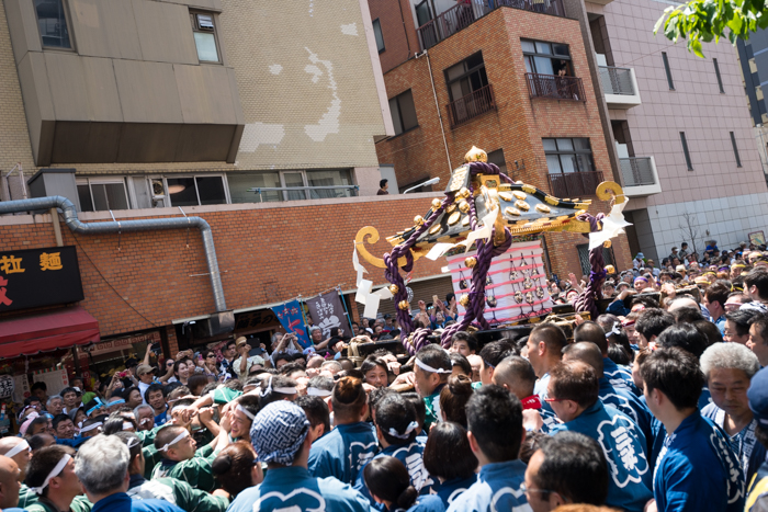 三社祭に宮神輿を見に行ってきましたっ！