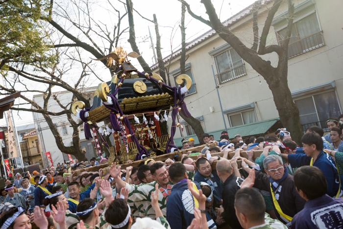 塚越稲荷神社「初午祭」で宮入を見てきたっ！