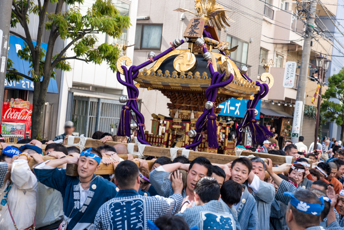 馬鹿祭り