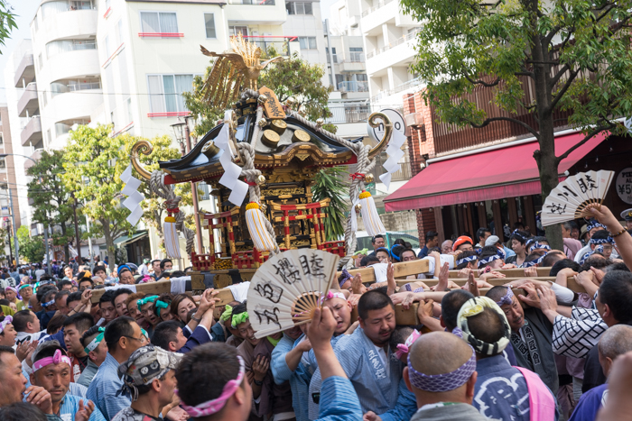 馬鹿祭り