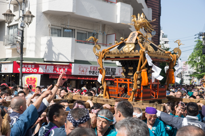 馬鹿祭り