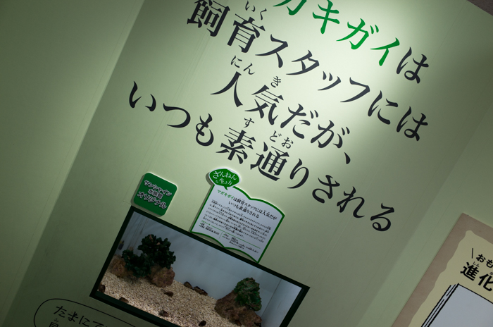 ざんねんないきもの展