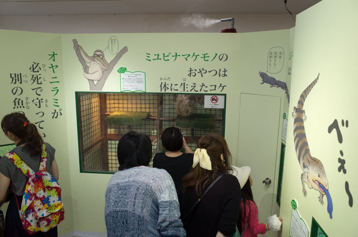 ざんねんないきもの展
