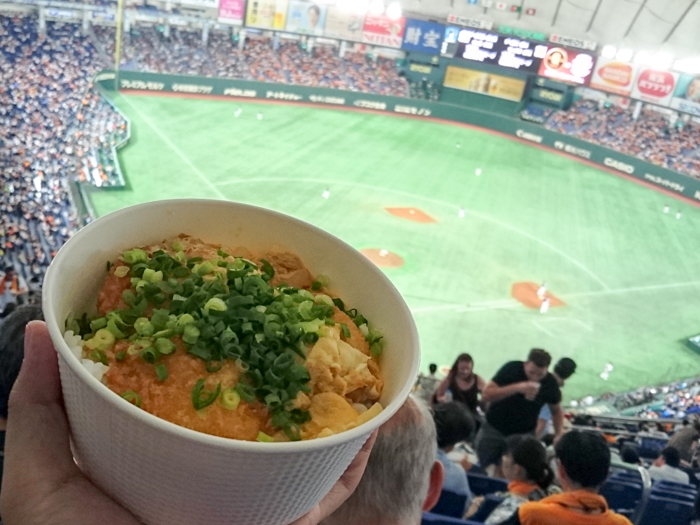 交流戦2018「西武ｘ巨人」2回戦を東京ドームで観戦してきたっ！