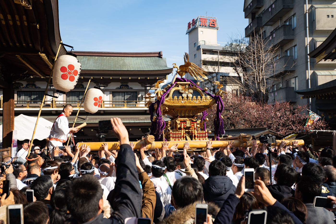 湯島天神「梅まつり」で神輿渡御を見てきたっ！(第62回)(平成31年)(2019年)