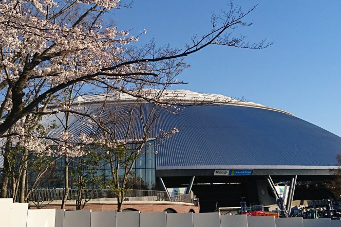 桜