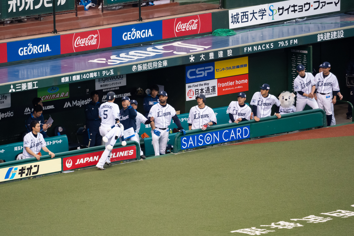 西武ｘソフトバンク(2019第6回戦)を現地で観戦っ！