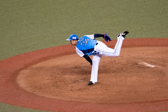 佐野 泰雄