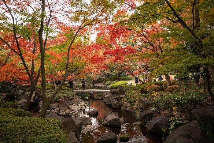 大田黒公園