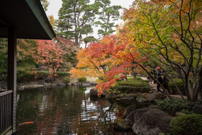 大田黒公園