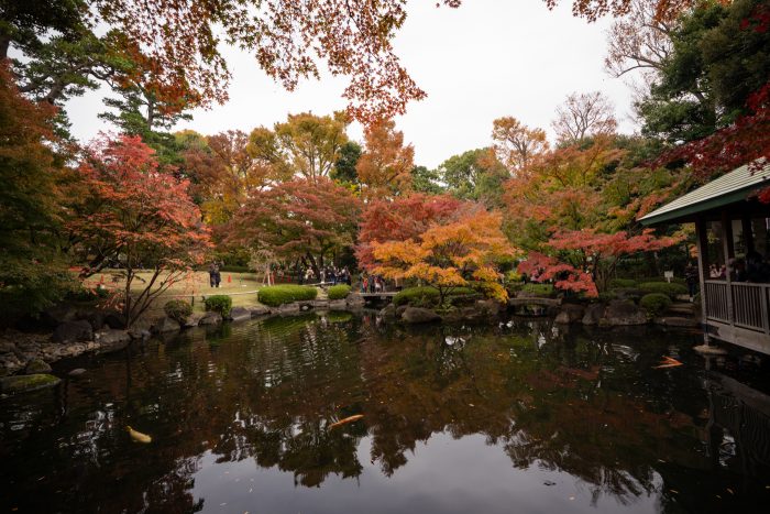 大田黒公園