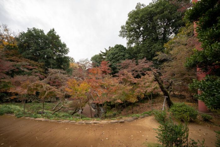 喜多院