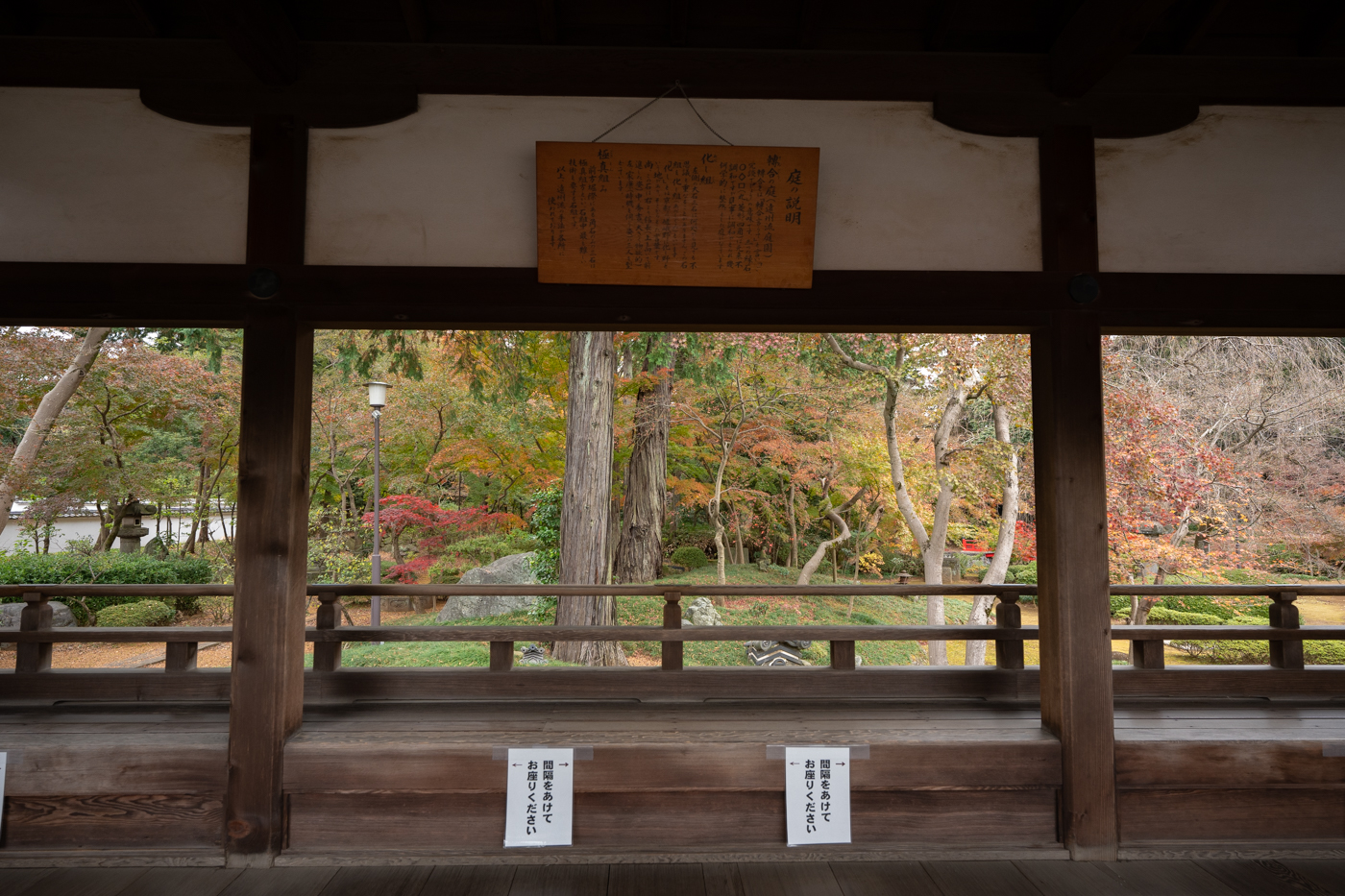 川越で魯肉飯を食べつつ喜多院で紅葉を見てきたっ！