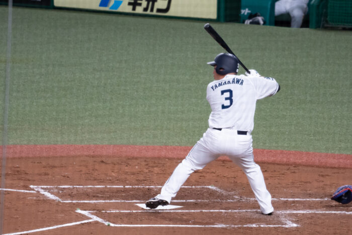 山川 穂高