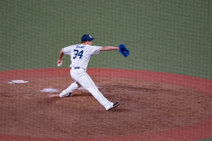 佐野 泰雄