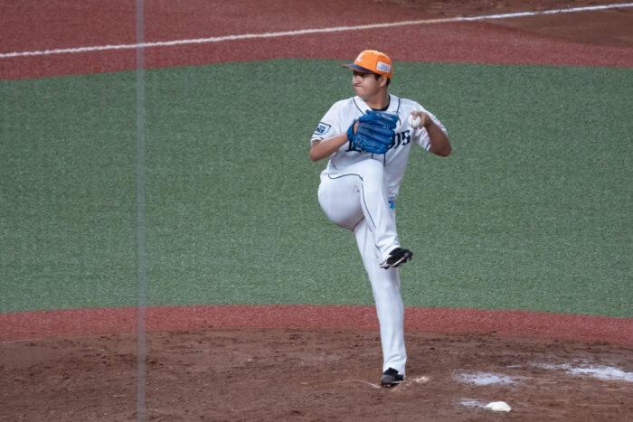佐野 泰雄