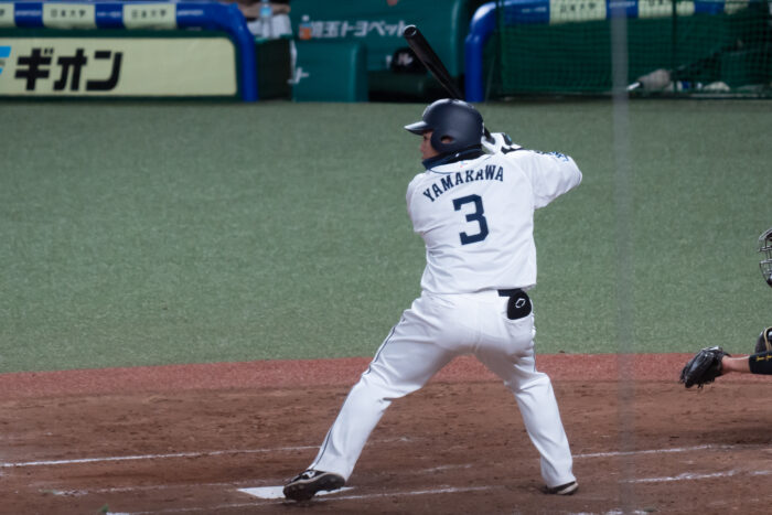 山川 穂高