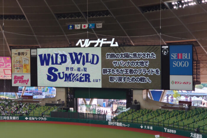 WILD WILD SUMMER