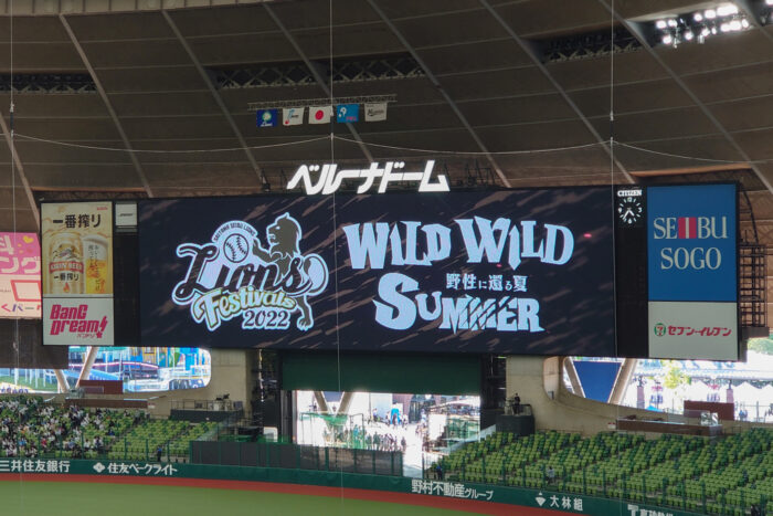 WILD WILD SUMMER