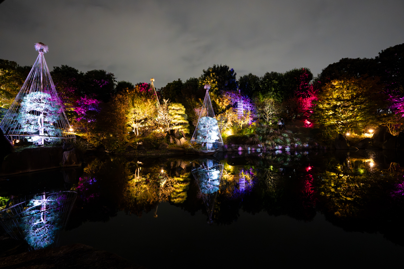 目白庭園でめじろアートナイトVol.6「庭園の紅葉ライトアップ」を見てきたっ！