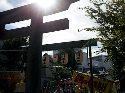 高田氷川神社例祭