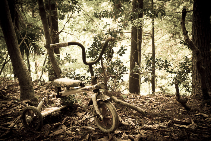 森の中の三輪車。