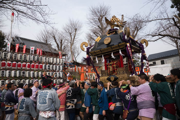 塚越稲荷神社「初午祭」で本社神輿の宮入を見てきましたっ！