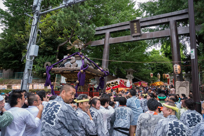 新宿諏訪神社で10年ぶりの「御神幸大祭」で宮入を見てきましたっ！